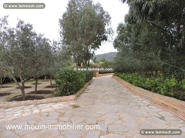 TERRAIN LA DEMEURE Hammamet - Zone Craxi T739