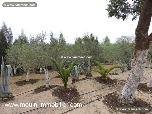 TERRAIN LA DEMEURE Hammamet - Zone Craxi T739