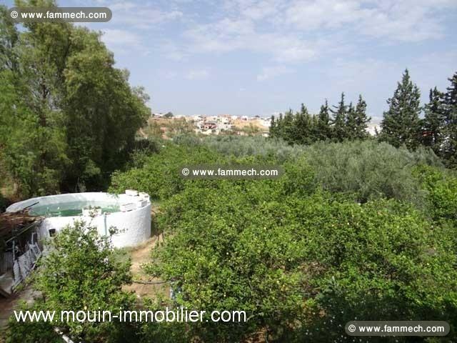 TERRAIN LARA 2 Sidi Hammed T841