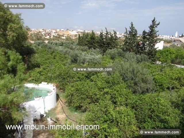 TERRAIN LARA 2 Sidi Hammed T841