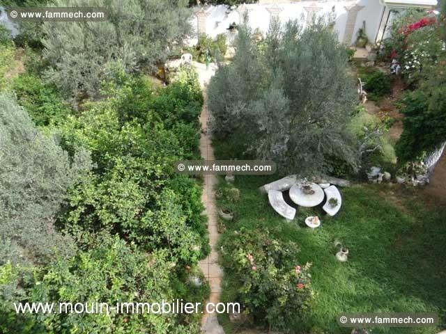 TERRAIN LARA 2 Sidi Hammed T841