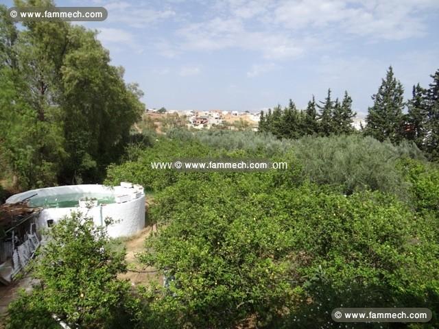Terrain Lara 2 T841 Hammamet