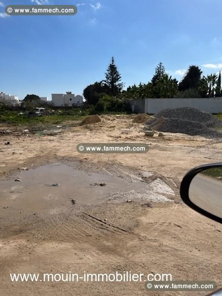 Terrain Larine T1013 Hammamet zone theatre 