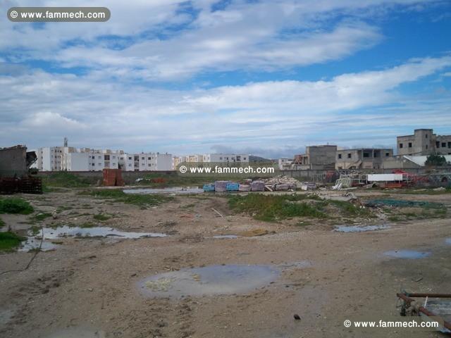 Terrain Le palmier T604