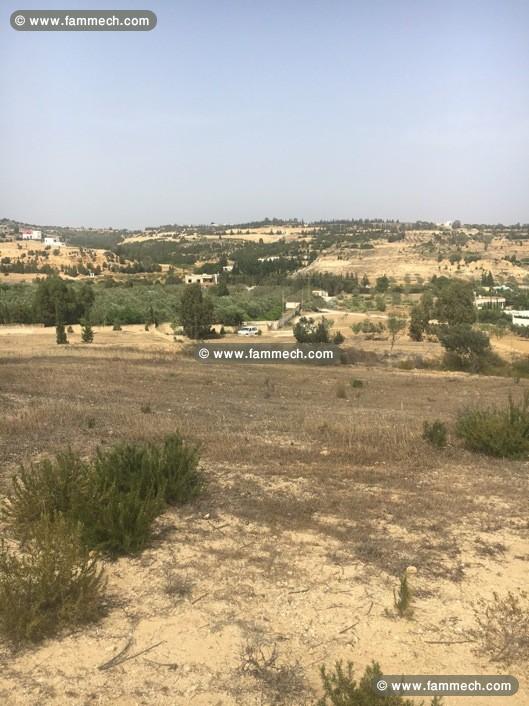 Terrain Le Sol ref T639 Hammamet 