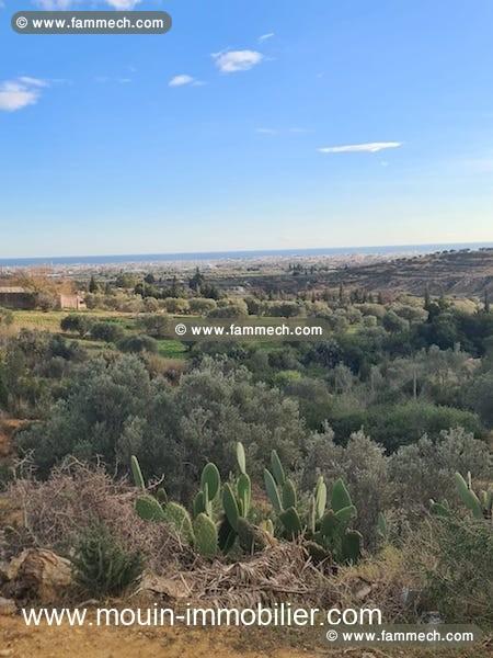 TERRAIN LEOPARD à Nabeul Dar Chaaben T1065