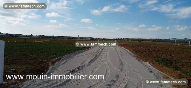 TERRAIN LINE AV à Hammamet Sud Douikhla T1088