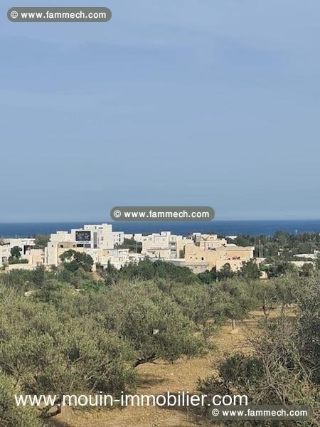 TERRAIN LORA Hammamet Nord T1031
