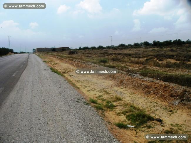 TERRAIN IDEAL INVESTISSEMENT OUERDANINE MONASTIR 