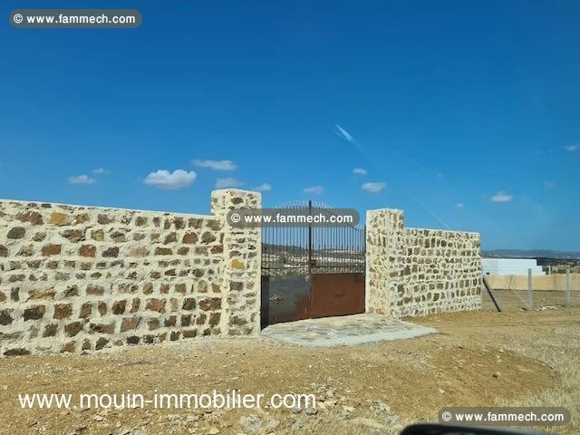 TERRAIN MZIRAA Hammamet Birbouregba I T1024