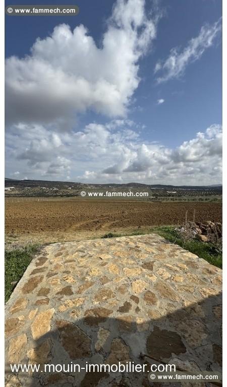 TERRAIN MZIRAA Hammamet Birbouregba T1024