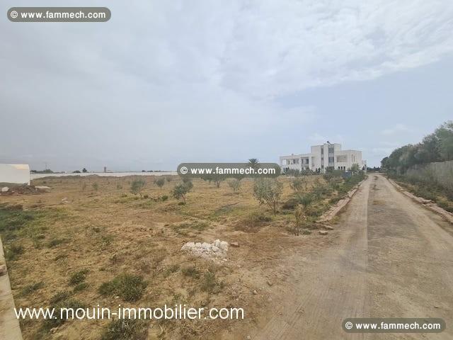 TERRAIN NASR 2 Hammamet Sud T970