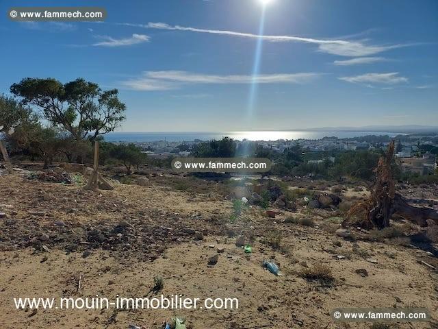 TERRAIN NORA Hammamet Zone Craxi T1148
