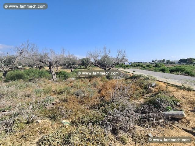 TERRAIN NOURAN Les Deux Oueds, Hammamet Nord T894