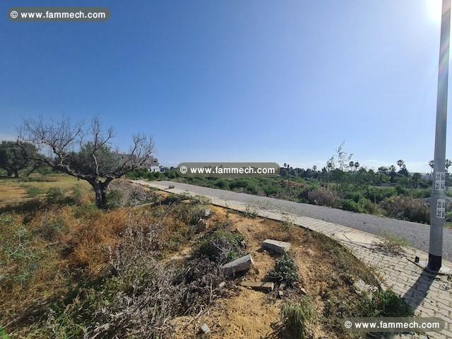 TERRAIN NOURAN Les Deux Oueds, Hammamet Nord T894