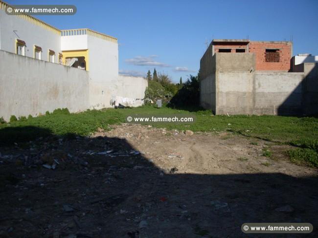 terrain nu 583 m2 Menzel Bou Zelfa