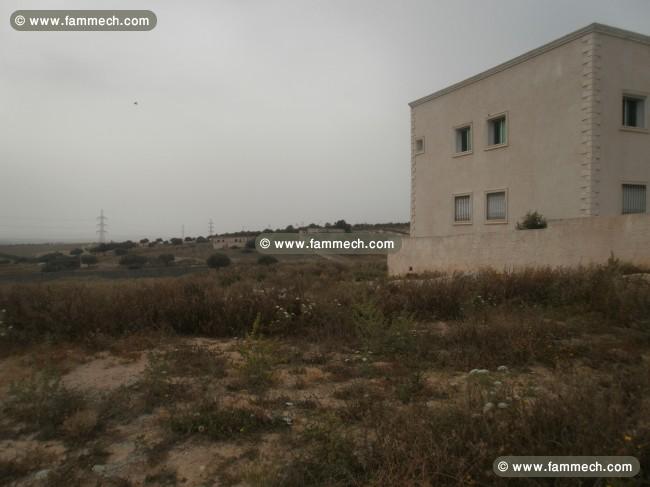 terrain nu vocation habitation