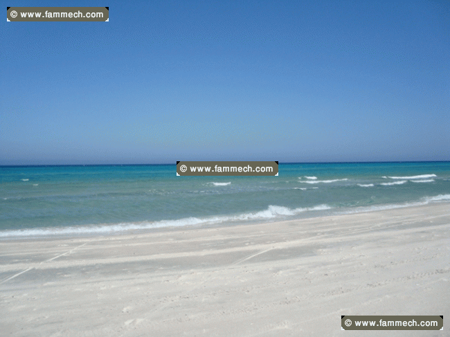 Terrain pied dans l'eau a tazarka nabeul
