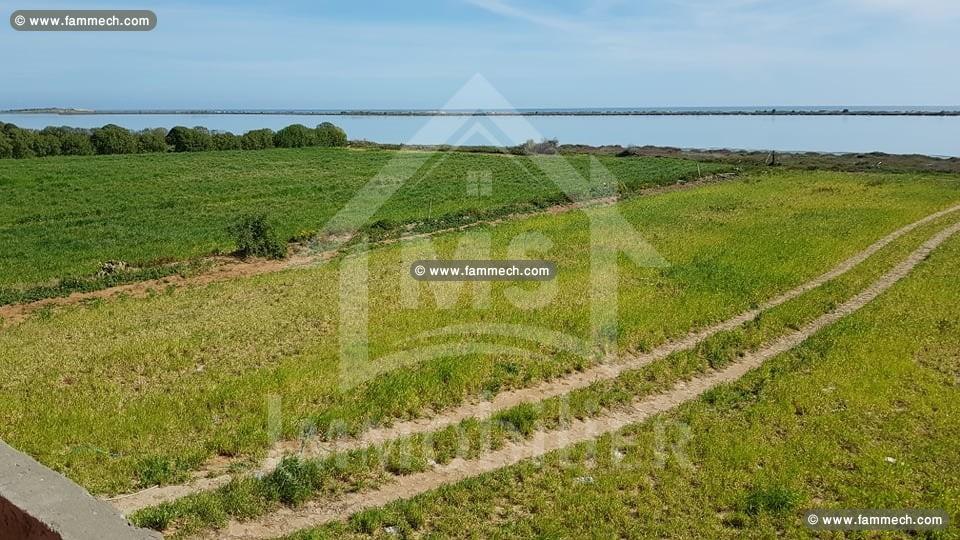 Terrain pied dans l'eau à vendre à Korba 51355351
