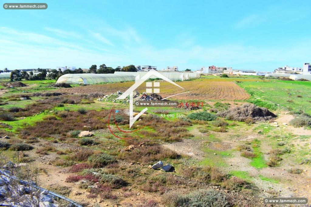 terrain pied dans l’eau à vendre à chraf bekalta