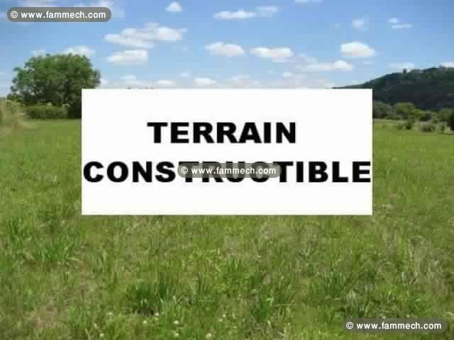 Terrain pied ds l'eau raoued plage