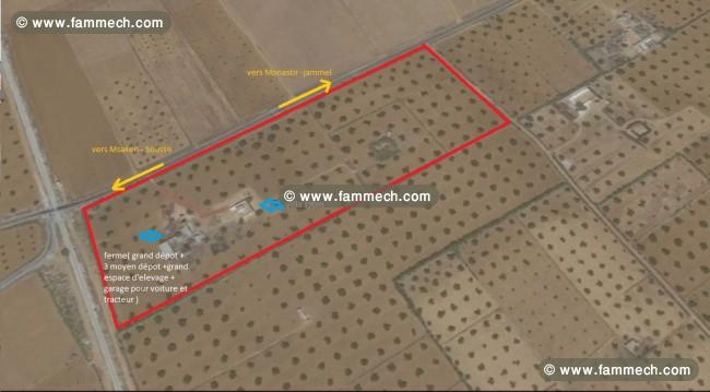 Terrain pour investissement agricole 5 hectare