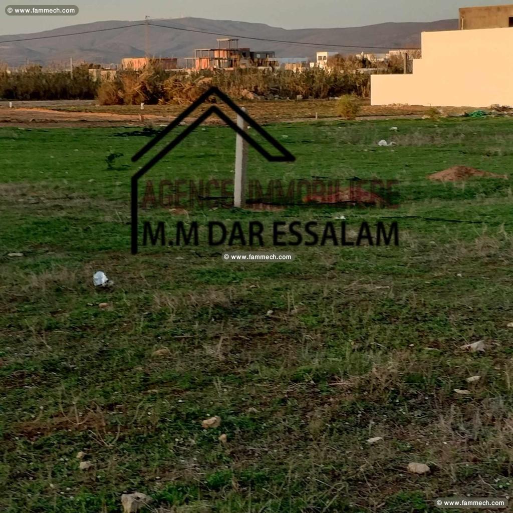 terrain près de la mer