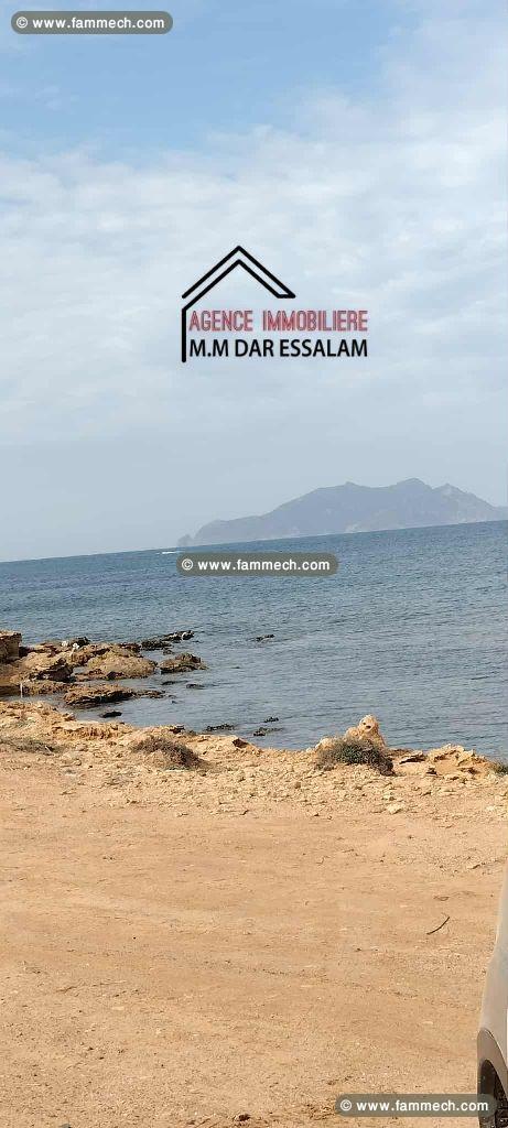 terrain près de la mer