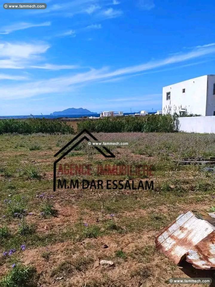 terrain près de la mer