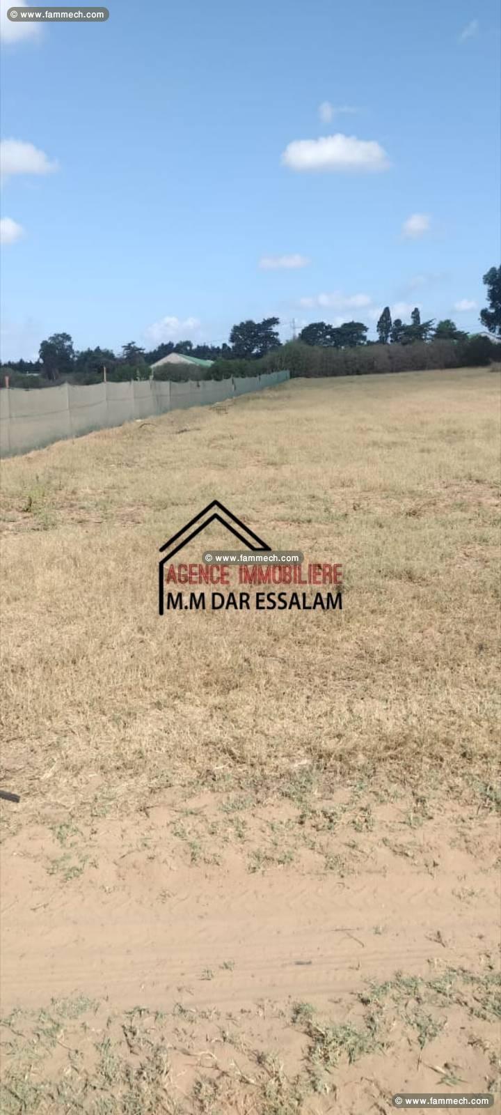 terrain près de la route principale 