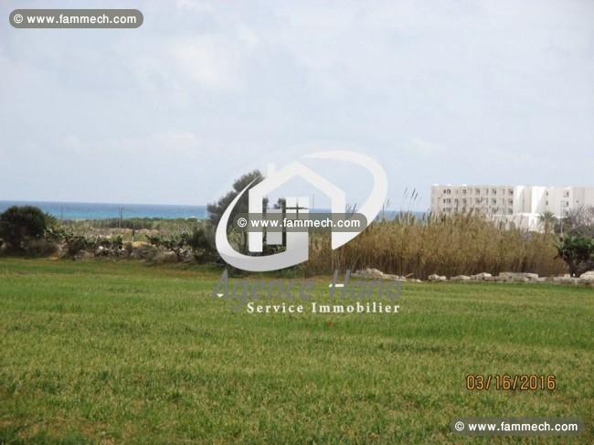 Terrain R+4 à ne pas rater 100 mètres d’hôtel thap