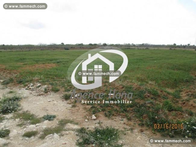 Terrain R+4 à ne pas rater 100 mètres d’hôtel thap