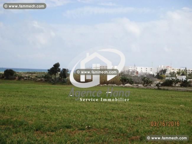 Terrain R+4 à ne pas rater 100 mètres d’hôtel thap