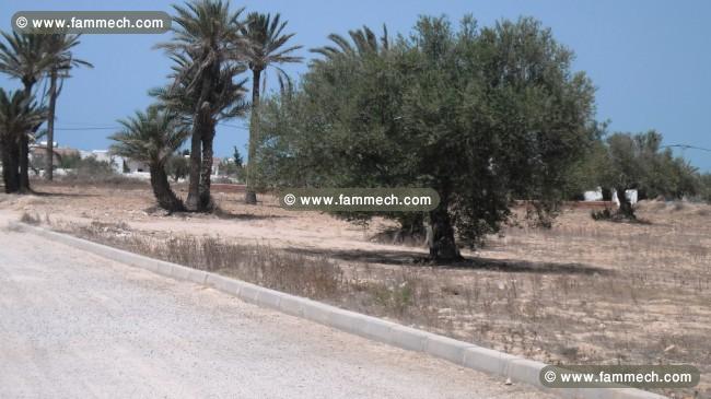 terrain route Djerba