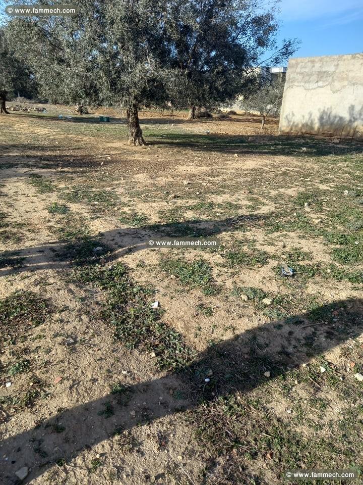 Terrain route Jdidi