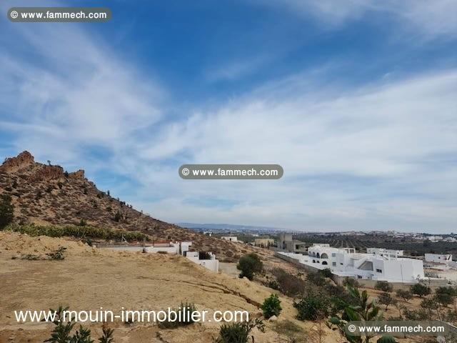 TERRAIN RUBY Hammamet Sud El Monchar T1079
