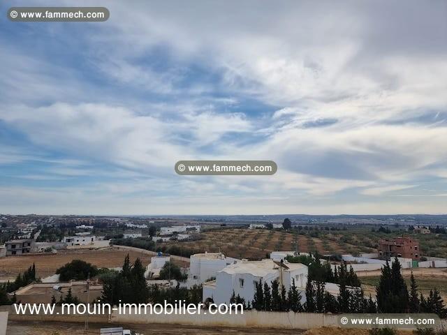 Terrain Ruby T1079 Hammamet el monchar