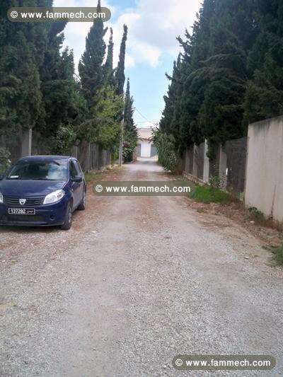 terrain sauha T553 saukra tunis 