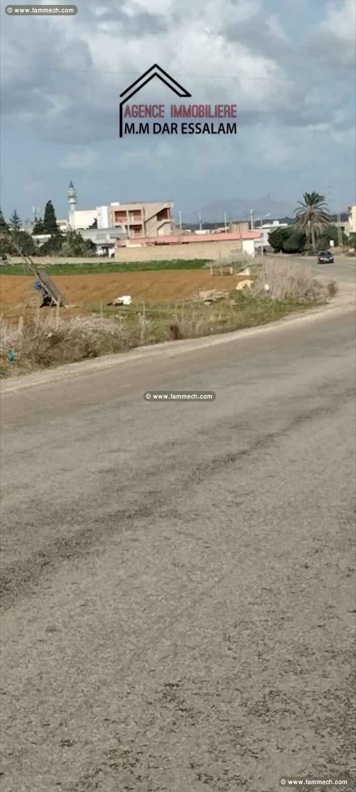 terrain sur la route principale