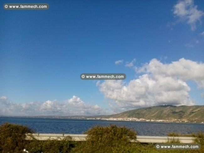 Terrain sur les bords du lac de Ghar El Melh