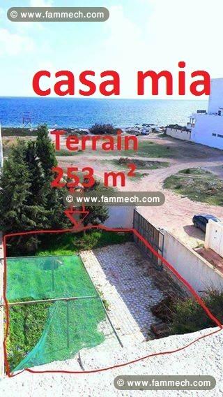 terrain tantana
