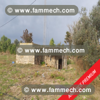 terrain tazarka3M730