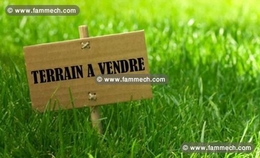 Terrain TH128 - El Monchar