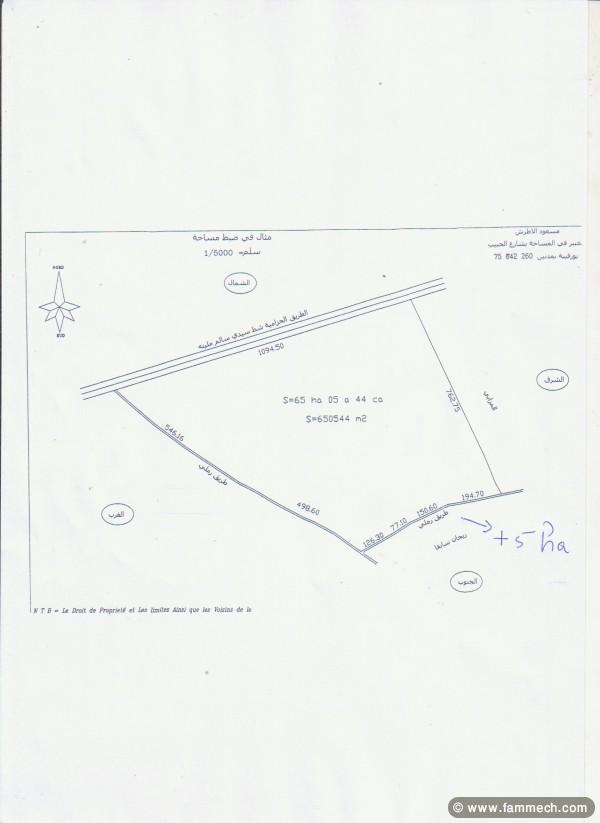 terrain très proche de l'aéroport de djerba