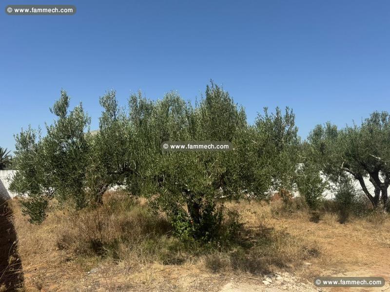 Terrain VERDON (Réf: T2023)