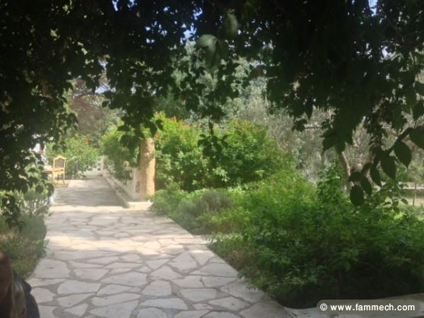 TERRAIN VERT - Hammamet t100