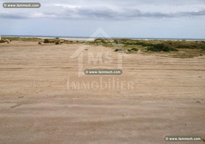 Terrain viabilisé pied dans l'eau à vendre 