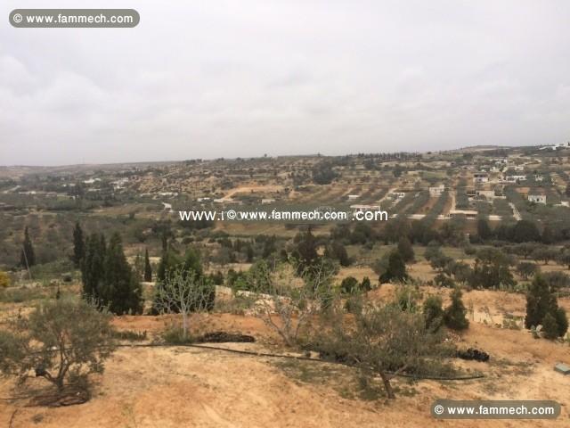 Terrain Viva ref T342 Hammamet