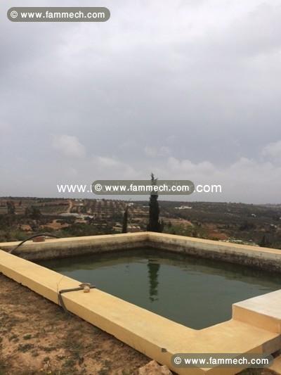 Terrain Viva ref T342 Hammamet