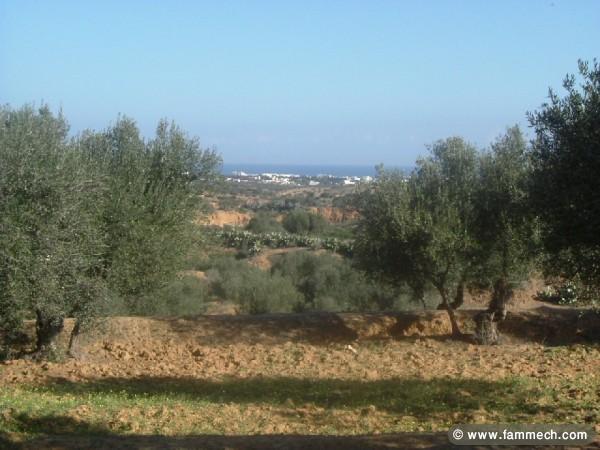 TERRAIN  VUE  MER  A CHATT MERIEM